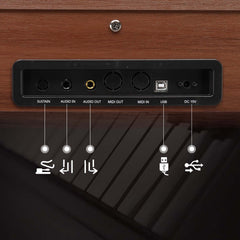 No logo 88 Key Standard Full Weighted Keyboards Digital Piano with Metal Stand, Power Adapter, Triple Pedals, Headphone,for All Experience Levels Black Walnut