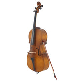 Ozici 4/4 Acoustic Cello Case Bow Rosin Wood