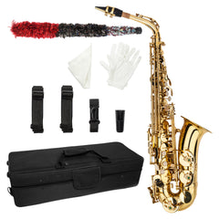 Ozici Stylish Mid-range Alto Drop E Lacquered Golden Saxophone Painted Golden Tube with Carve Patterns